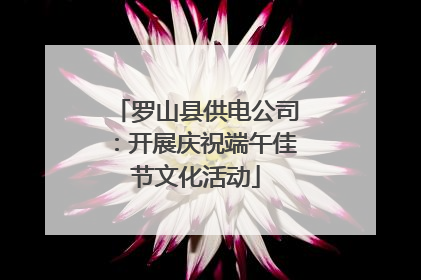 罗山县供电公司：开展庆祝端午佳节文化活动