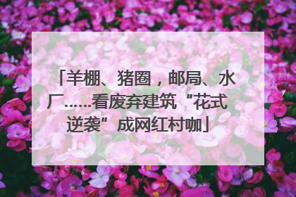 羊棚、猪圈，邮局、水厂……看废弃建筑“花式逆袭”成网红村咖