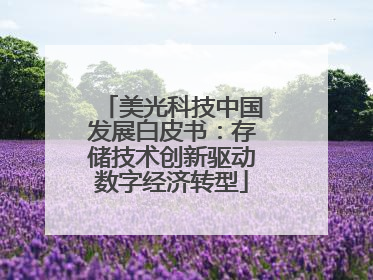 美光科技中国发展白皮书：存储技术创新驱动数字经济转型