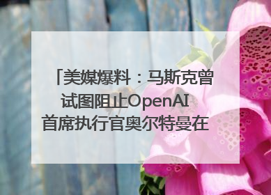 美媒爆料：马斯克曾试图阻止OpenAI首席执行官奥尔特曼在中东的AI交易
