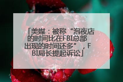 美媒：被称“泡夜店的时间比在FBI总部出现的时间还多”，FBI局长提起诉讼