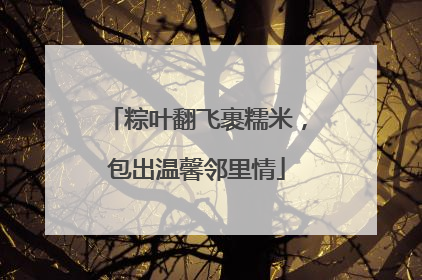 粽叶翻飞裹糯米，包出温馨邻里情