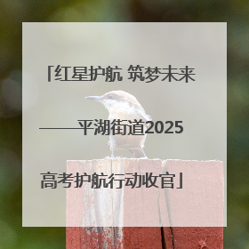 红星护航 筑梦未来——平湖街道2025高考护航行动收官