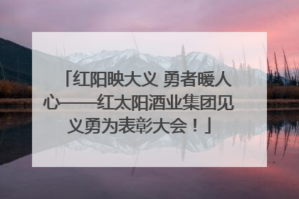 红阳映大义 勇者暖人心——红太阳酒业集团见义勇为表彰大会！