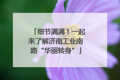 细节满满！一起来了解济南工业南路“华丽转身”