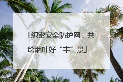 织密安全防护网，共绘烟叶好“丰”景