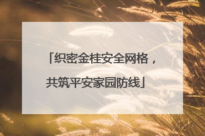 织密金桂安全网格，共筑平安家园防线