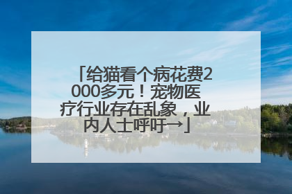 给猫看个病花费2000多元！宠物医疗行业存在乱象，业内人士呼吁→