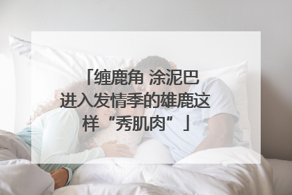 缠鹿角 涂泥巴 进入发情季的雄鹿这样“秀肌肉”