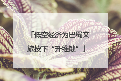 低空经济为巴蜀文旅按下“升维键”