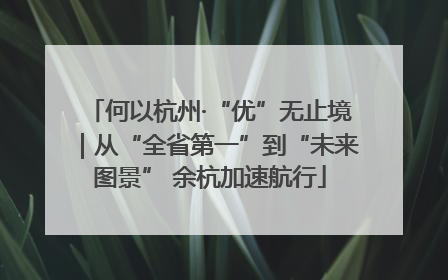 何以杭州·“优”无止境｜从“全省第一”到“未来图景” 余杭加速航行