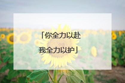 你全力以赴 我全力以护