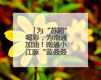 为“苏超”喝彩，为南通加油！南通小江豚“蓝叒叒”申请出战