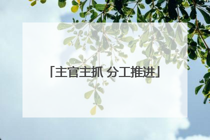 主官主抓 分工推进