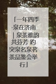 一年四季·泉在济南｜泉茶雅韵共芬芳 趵突泉名泉茗茶品鉴会举行