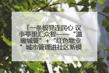 一条板凳连民心 议事亭里汇众智——“温暖城管”+“红色物业”城市管理进社区新模式绘就城市管理社区治理新画卷