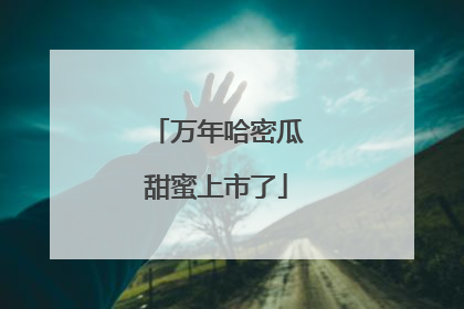 万年哈密瓜甜蜜上市了