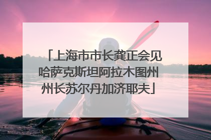 上海市市长龚正会见哈萨克斯坦阿拉木图州州长苏尔丹加济耶夫
