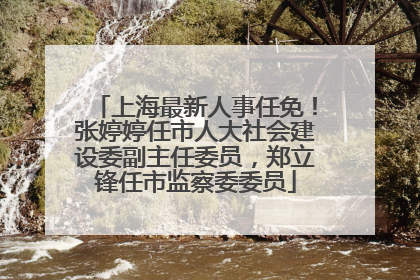 上海最新人事任免！张婷婷任市人大社会建设委副主任委员，郑立锋任市监察委委员