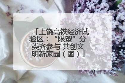 上饶高铁经济试验区：“限塑”分类齐参与 共创文明新家园（图）