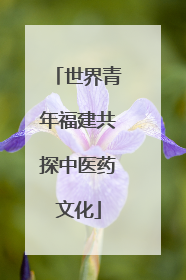 世界青年福建共探中医药文化