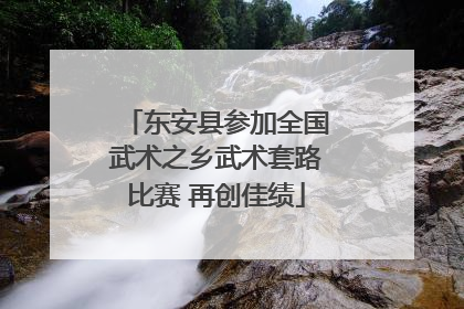 东安县参加全国武术之乡武术套路比赛 再创佳绩