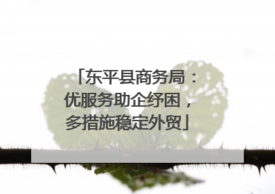 东平县商务局：优服务助企纾困，多措施稳定外贸