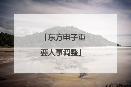 东方电子重要人事调整