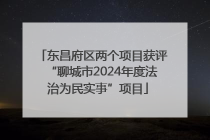 东昌府区两个项目获评“聊城市2024年度法治为民实事”项目