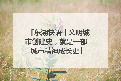 东湖快语｜文明城市创建史，就是一部城市精神成长史