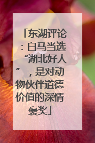 东湖评论：白马当选“湖北好人”，是对动物伙伴道德价值的深情褒奖