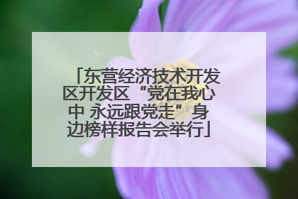东营经济技术开发区开发区“党在我心中 永远跟党走”身边榜样报告会举行