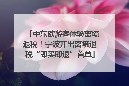 中东欧游客体验离境退税！宁波开出离境退税“即买即退”首单