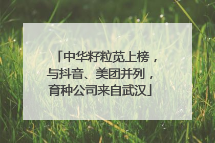 中华籽粒苋上榜，与抖音、美团并列，育种公司来自武汉
