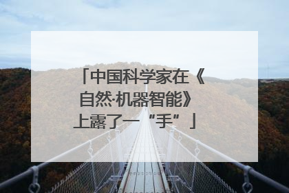 中国科学家在《自然·机器智能》上露了一“手”