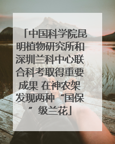 中国科学院昆明植物研究所和深圳兰科中心联合科考取得重要成果 在神农架发现两种“国保”级兰花