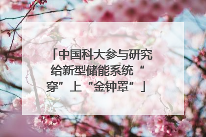 中国科大参与研究 给新型储能系统“穿”上“金钟罩”