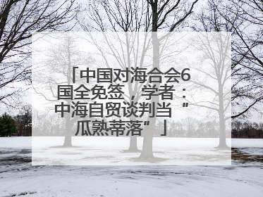 中国对海合会6国全免签，学者：中海自贸谈判当“瓜熟蒂落”