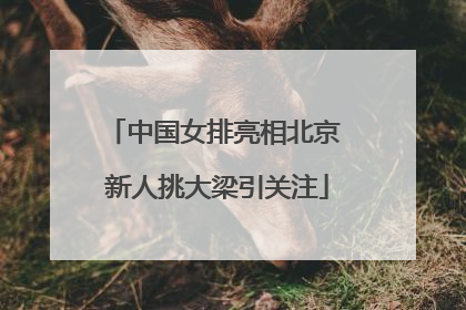 中国女排亮相北京 新人挑大梁引关注