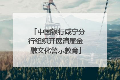 中国银行咸宁分行组织开展清廉金融文化警示教育