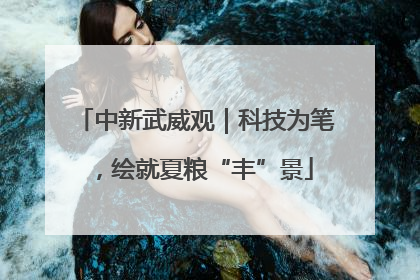 中新武威观｜科技为笔，绘就夏粮“丰”景