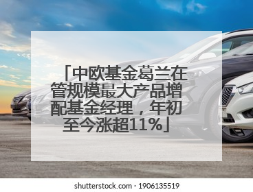 中欧基金葛兰在管规模最大产品增配基金经理，年初至今涨超11%