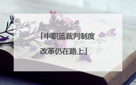 中职篮裁判制度改革仍在路上