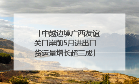 中越边境广西友谊关口岸前5月进出口货运量增长超三成