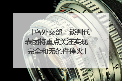 乌外交部：谈判代表团将重点关注实现完全和无条件停火