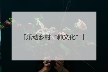 乐动乡村“种文化”