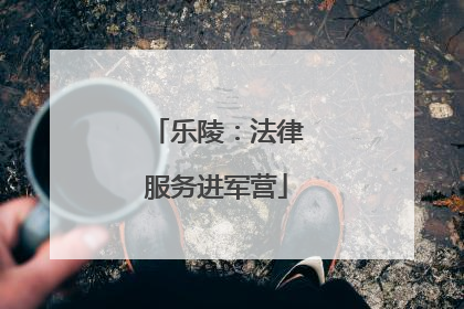 乐陵：法律服务进军营