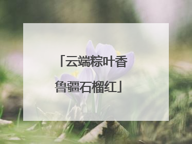 云端粽叶香 鲁疆石榴红