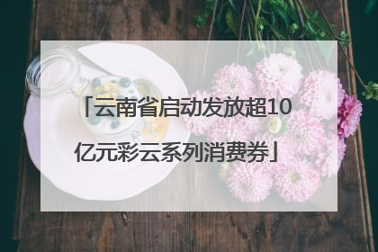云南省启动发放超10亿元彩云系列消费券
