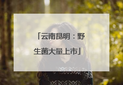 云南昆明：野生菌大量上市